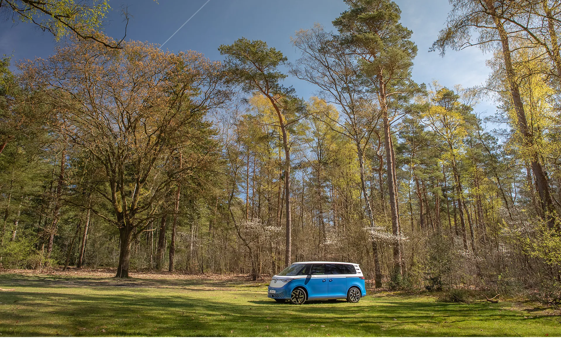 Outbase Flow in het lentebos