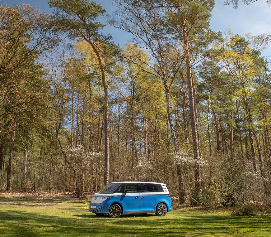 Outbase Flow in het bos